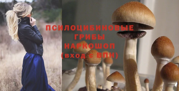 jwh Медвежьегорск