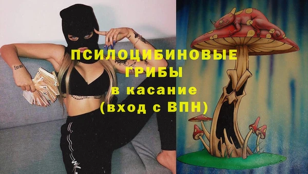 jwh Медвежьегорск